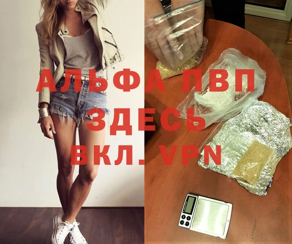 стаф Абинск