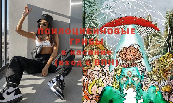 стаф Абинск