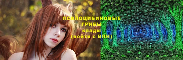 jwh Абаза