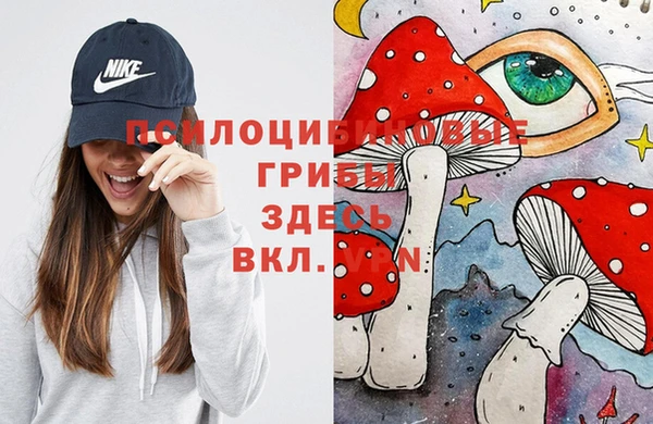 стаф Абинск