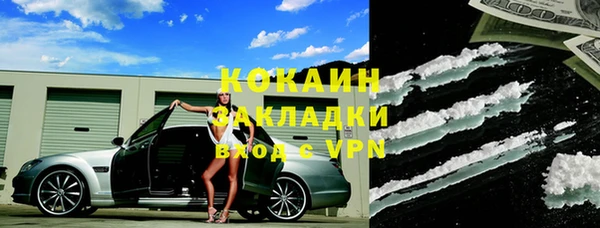 стаф Абинск