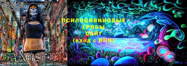 стаф Абинск