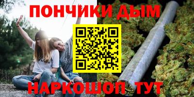 mdpv Можга