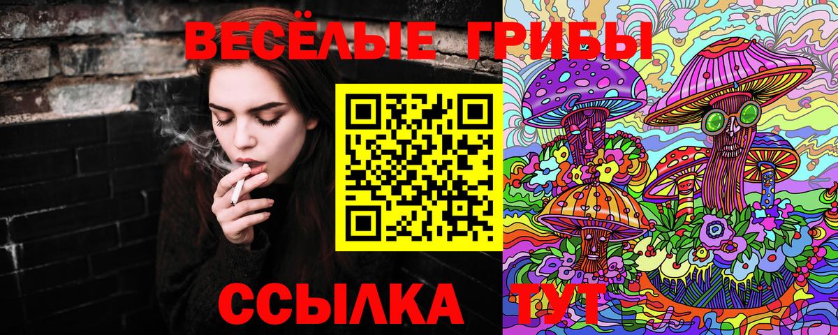 Галлюциногенные грибы GOLDEN TEACHER  Вход с VPN  Чита 